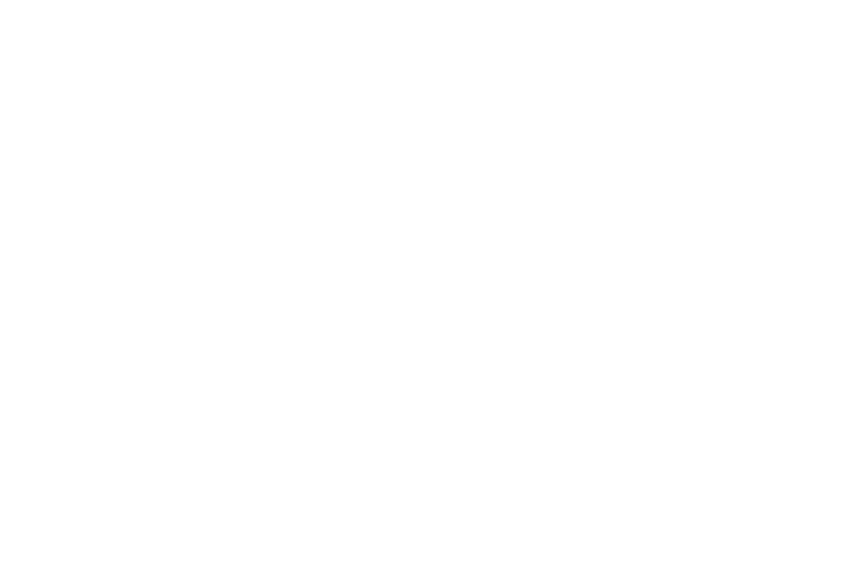 Alkilaudio